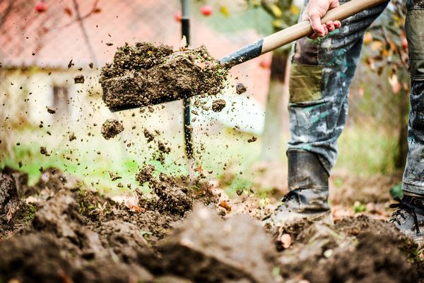 Sustainable-Farming-Aurora-CO