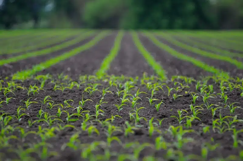 Water Retention in Agriculture-Jackson-WY