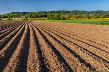 Las Vegas organic soil conditioner for growth in NV near 89108