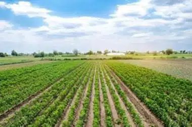 Regenerate your soil with Ivins regenerative agriculture management in UT near 84738