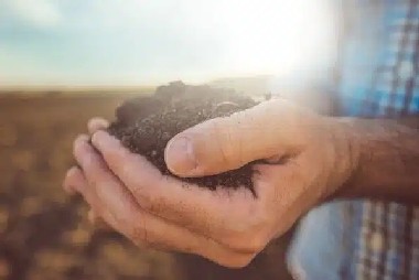 Learn more about Brighton salt in soil in CO near 80601