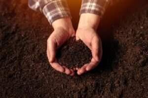 Denver clay soil remedies solutions in CO near 80219