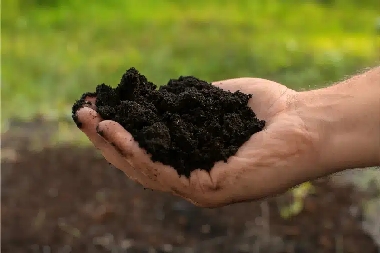 Highlands Ranch clay soil remedies in CO near 80126