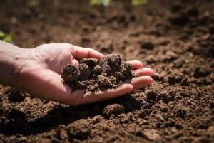 We offer products to reduce Aurora clay in soil in CO near 80013