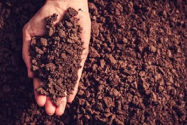 We offer products to reduce Littleton clay in soil in CO near 80120