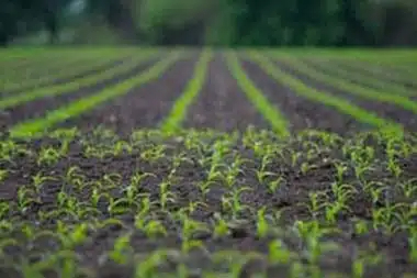 Rock Springs sustainable agriculture solutions in WY near 82901