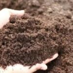 Soil Care For Moisture Retention-Jackson-WY