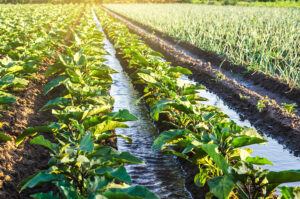 Irrigation Water Use-Sheridan-WY