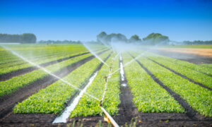 Soil Health During Drought-Sheridan-WY